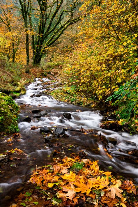 Columbia River Gorge - Larry N. Olson Photography