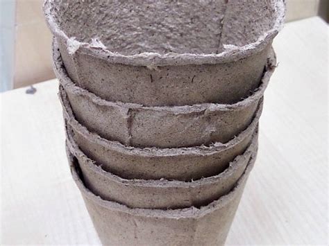 Торфяные горшочки для рассады, как пользоваться