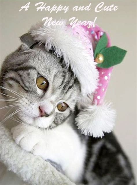 Happy New Year Cat wishing a Happy and Cute New Year. For More Happy ...