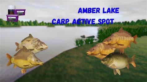 Amber Lake Carp Spot Ghost Carps Russian Fishing Youtube