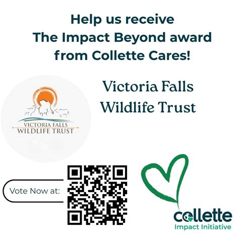 Victoria Falls Wildlife Trust - Mizpah primary school | Facebook