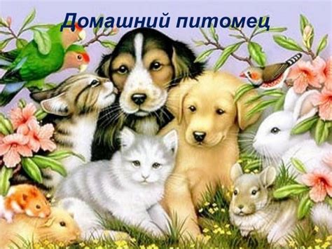 Мой проект - домашний питомец
