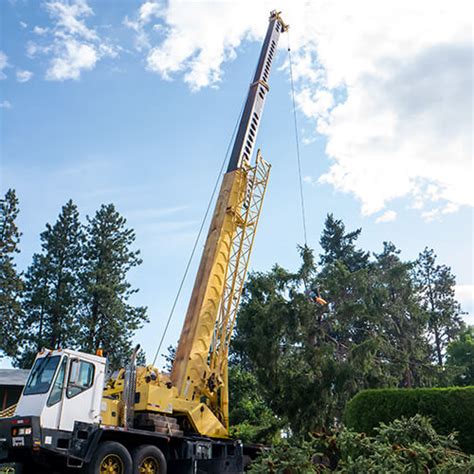 action crane action crane service kelowna bc