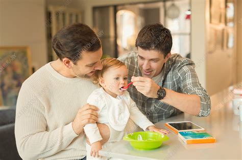 Male Gay Parents Feeding Baby Son Stock Image F Science Photo Library