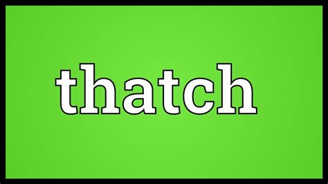 Thatch Meaning - YouTube