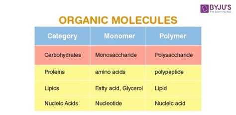 Bio 151 Exam 1 Flashcards Quizlet