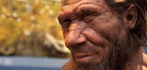 Neanderthal Extinction May Have Been Caused By Sex Not Fighting Natural History Museum