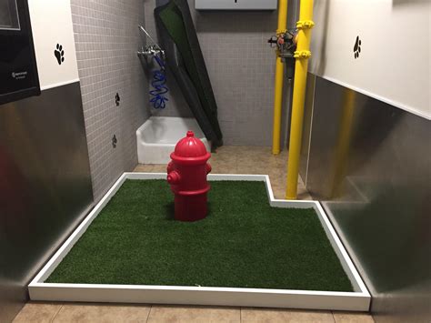 This pet relief area in an airport : r/mildlyinteresting