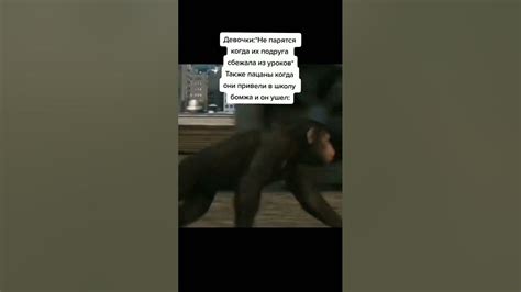 дед сбежал - YouTube