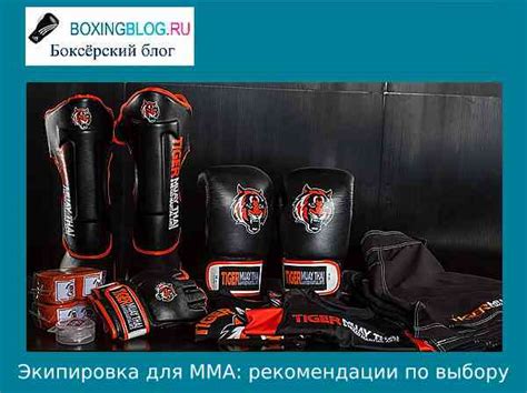 Экипировка для ММА: рекомендации по выбору