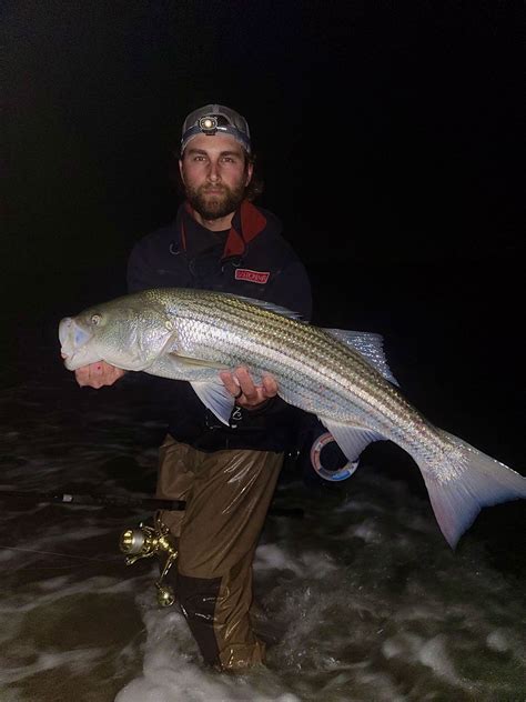 Photo Gallery: Sand Eel Striper Slammer - The Fisherman