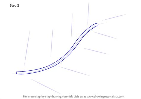 Learn How to Draw Fern Leaves (Plants) Step by Step : Drawing Tutorials