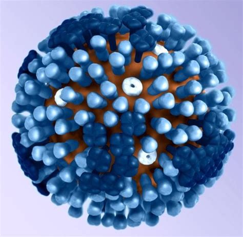 Free picture: flu, contagious, respiratory, illness, influenza, viruses