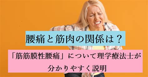 腰痛と筋肉の関係は？ 理学療法士が「筋筋膜性腰痛」を分かりやすく説明 あなたの腰痛トリセツブログ