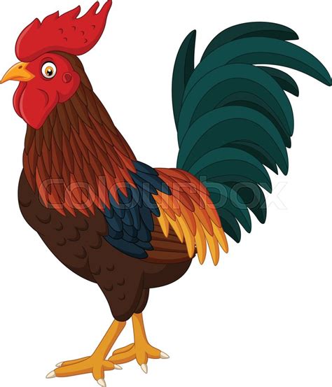 Vector Illustration Of Cartoon Rooster Stock Vector Colourbox