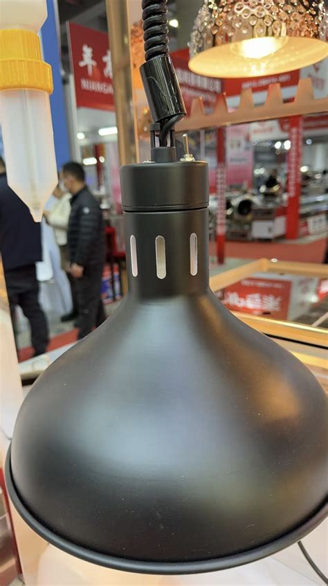 Лампа для подогрева блюд, подвесная. Черный G034-BLACK купить по низкой ...