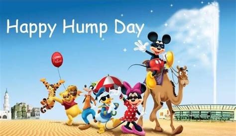 Happy Hump Day Pictures Photos And Images For Facebook Tumblr