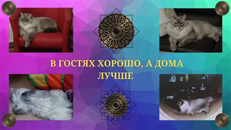 В гостях хорошо, а дома лучше - YouTube