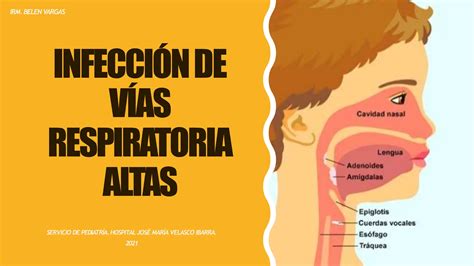 Infecciones De Vias Respiratorias Superiores Pediatria Ppt