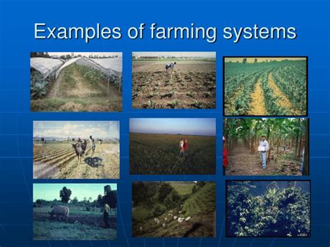 PPT - Agricultural Systems and Their Determinants PowerPoint ...