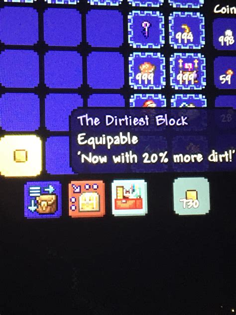 They added a dirt pet LETS GOO : r/Terraria