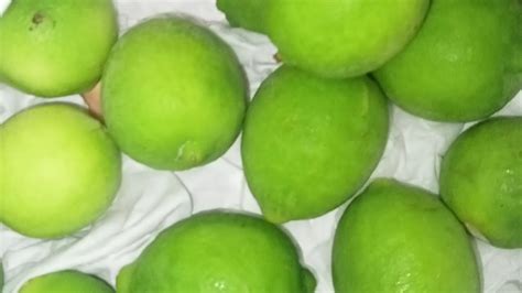 تخزين الليمون بطريقه مضمونه مليون فى المائه وكمان فوائد واضرار الليمون