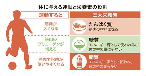 長友選手が語る『脂質をエネルギーとして使いやすくする』秘訣とは