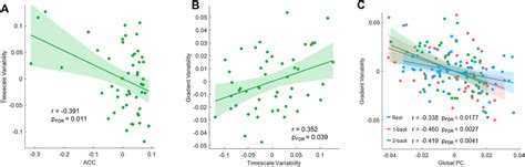 Associations between cortical hierarchy, localized temporal dynamics ...