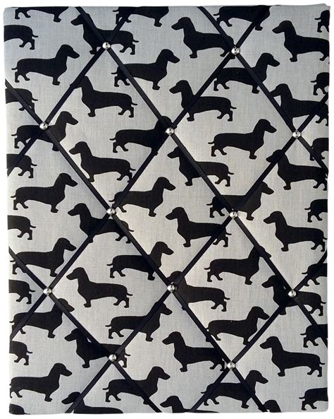 Dachshunds 1