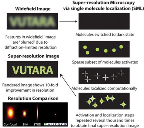 Single Molecule Localization Microscopy