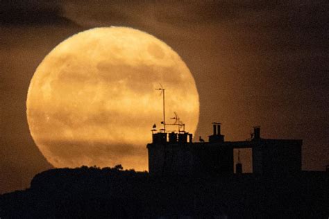 Fenomena Supermoon Sturgeon Bakal Nongol Dua Kali Di Agustus Ini