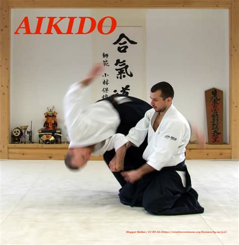top  aikido wallpaper full hd
