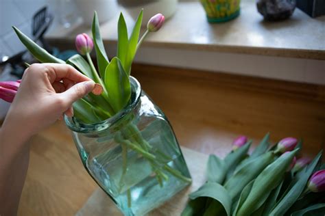 5 Proven Secrets to Keep Your Cut Flowers Fresh and Vibrant - Hunter Games Magazine