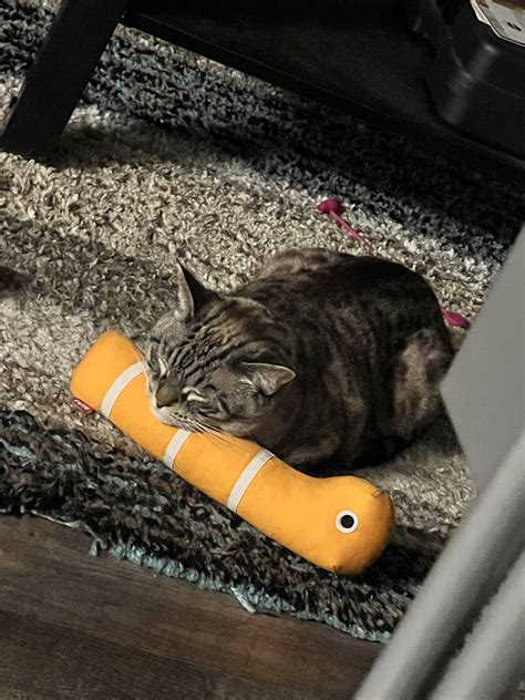 Angie On Twitter What The Fuck Https T Co C Vlr RnkT Twitter