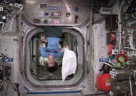 Nello Spazio Con Lasciugamano Sam Festeggia Il Towel Day Spazio
