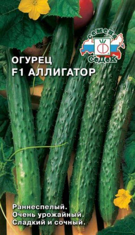 Огурцы Аллигатор f1: особенности сорта, описание, фото и отзывы