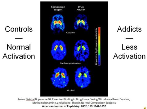 Transcript Of The Great Porn Experiment TEDx Glasgow Your