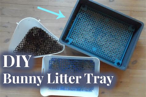 DIY Bunny Litter Tray - YouTube