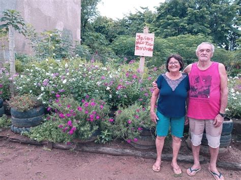 A Gazeta Do Lixo Ao Jardim Casal Transforma Terreno Baldio No Es