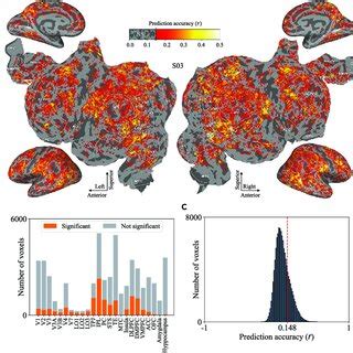model prediction performance   cortical surface  cortical