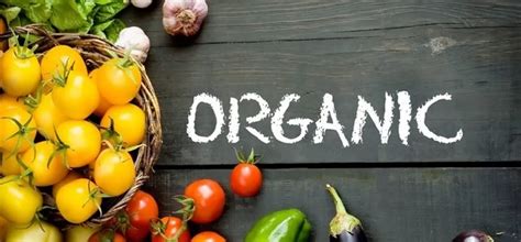 «Органік Стандарт» увійшов до Держреєстру органів сертифікації