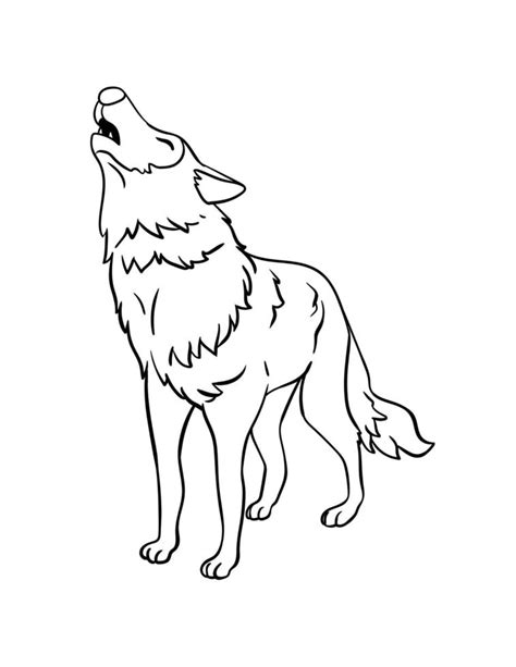 desenho de lobo isolado para colorir para crianças 13801601 Vetor no