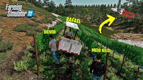 O Granjeiro Colheita Manual De Uvas Farming Simulator Youtube