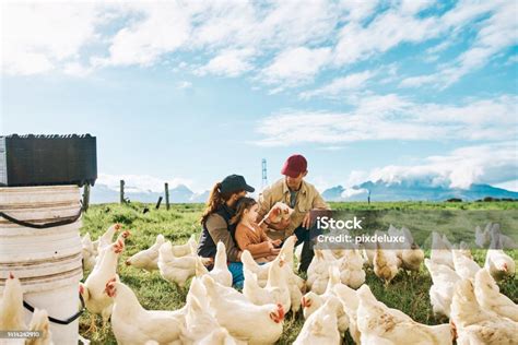 farming agriculture  lifestyle   farmer   family working