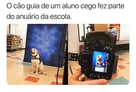 O cão guia de um aluno cego fez parte do anuário da escola Memes