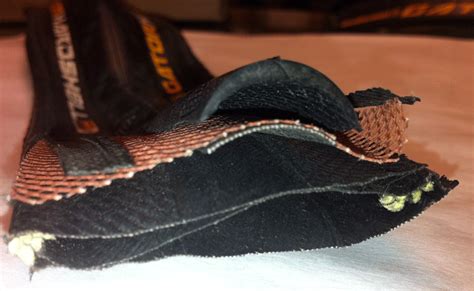 Village Cycle Center: Continental Gatorskin and Continental Gatorskin ...