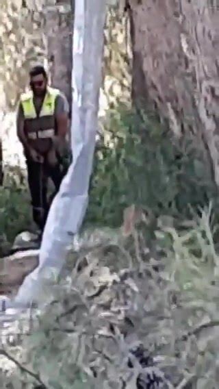 Hot Trucker Peeing 02 ThisVid