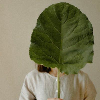 Make The Golf Course A Public Sex Forest Sex Forest Twitter