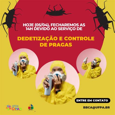 Informe de funcionamento dedetização e controle de pragas