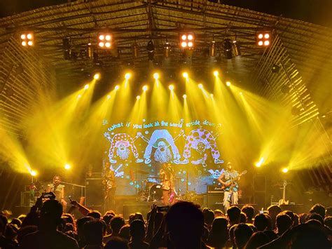 Covering Music Festivals at Jaime Trujillo blog